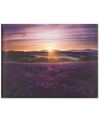 Graham & Brown Lavender Sunset Canvas Print