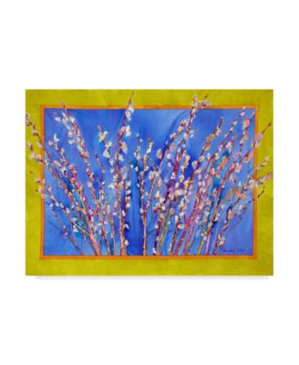 Sharon Pitts Pussy Willows Canvas Art X Macy S