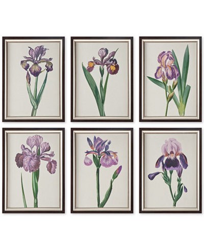 Uttermost 6-Pc. Iris Beauties Framed Wall Art