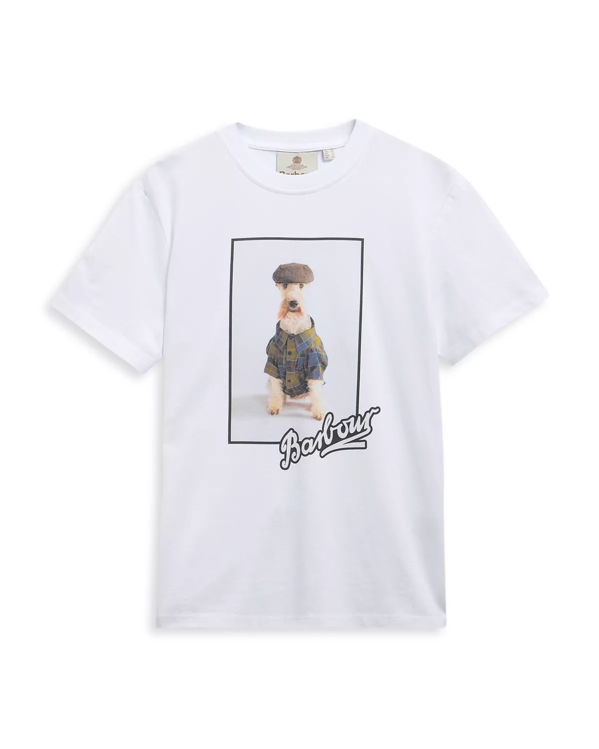 Product view 5