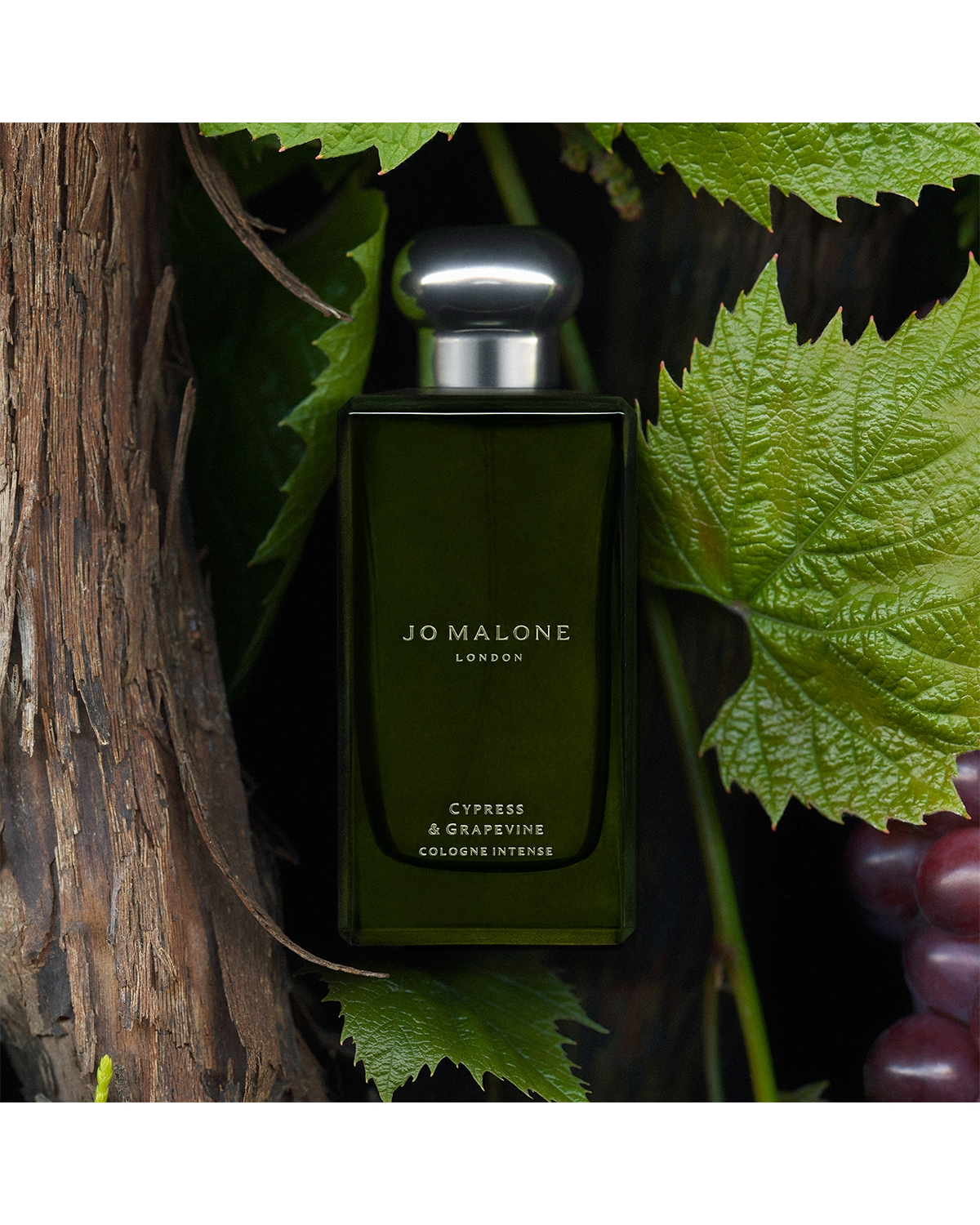 JO MALONE 사이프레스 포도향수 인텐스 1 oz