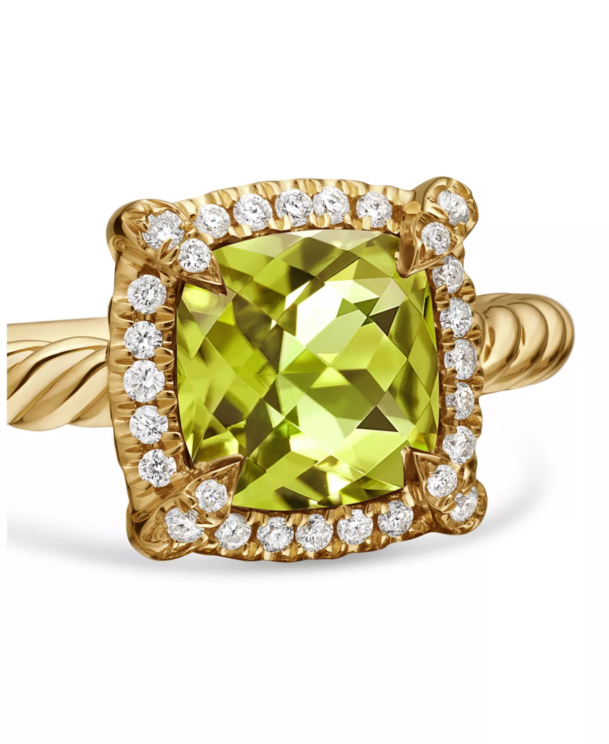Product view 5
