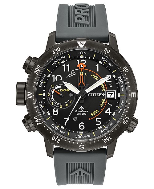 citizen eco drive grey