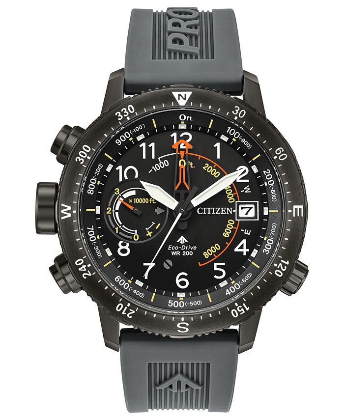 citizen men's promaster altichron