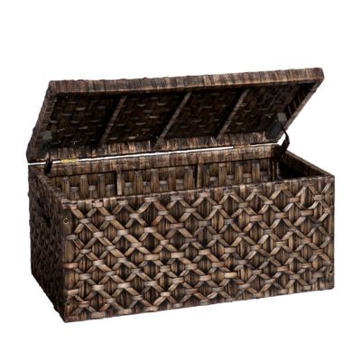 Water Hyacinth Storage Trunk