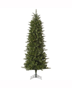 Vickerman 9' Carolina Pencil Spruce Artificial Christmas Tree With 500 Warm White Led Lights In Green