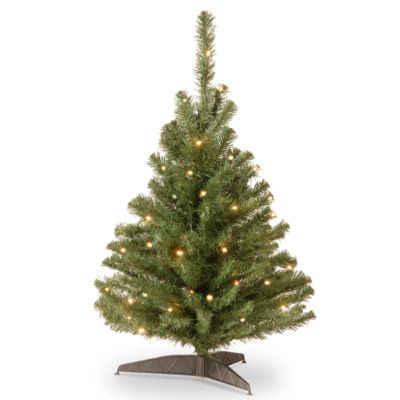 National Tree Company - National Tree 3' Kincaid Spruce Tree with 100 Clear Lights