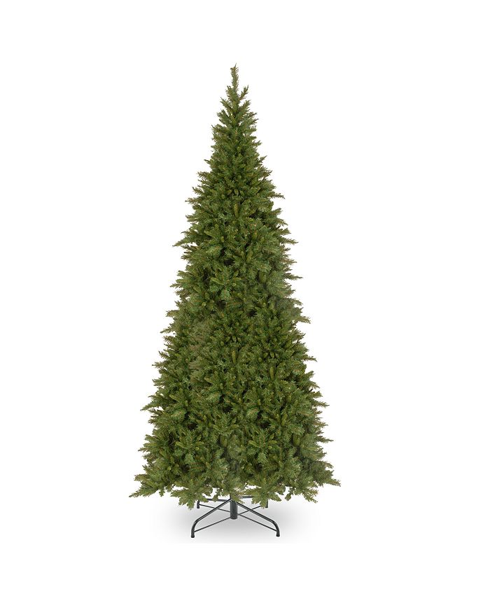 Tiffany Fir Slim Trees main image 1