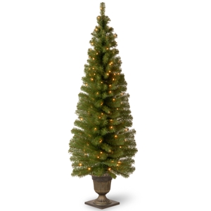 National Tree Company 6' Montclair Spruce Entrance Tree in 13