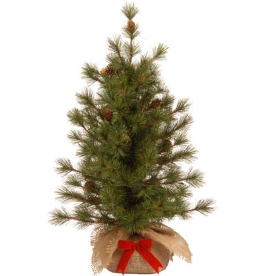 National Tree Company - National Tree 3 ft. Bristle Cone Pine Tree