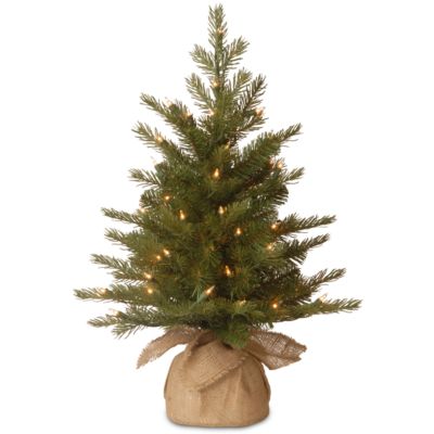 National Tree Company 2' "Feel Real" Nordic Spruce Small Tree In Burlap ...