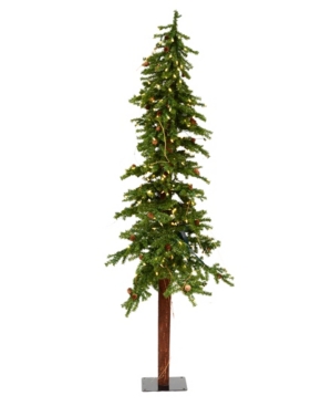 Vickerman 6' Alpine Artificial Christmas Tree, Featuring 657 Pvc Tips And 250 Warm White Dura-lit Led Lights In Green