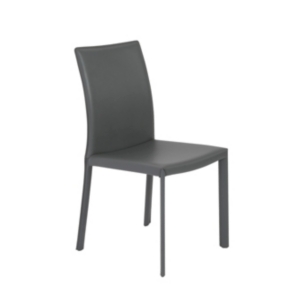 Hasina Side Chair (Set Of 2)