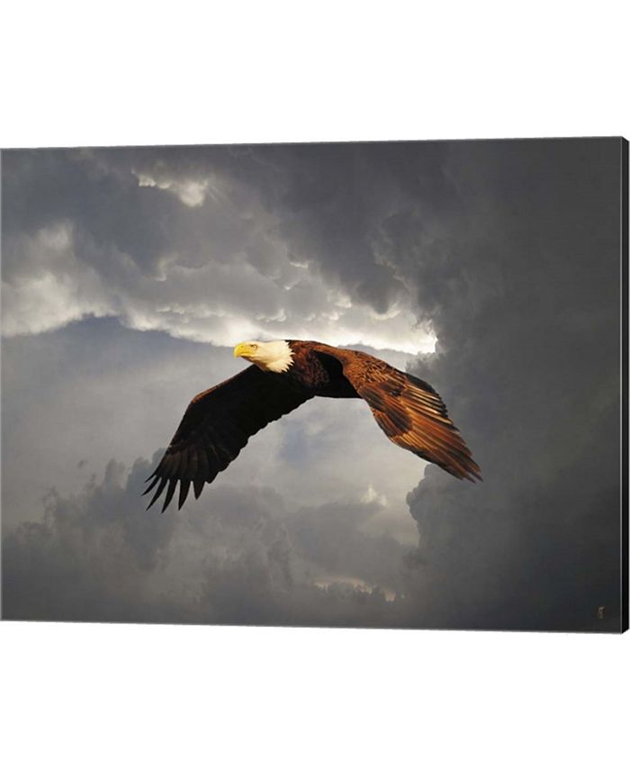 Metaverse Above The Storm Bald By Jai Johnson Canvas Art - Macy's