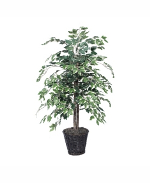 Vickerman 4' Artificial Variegated Ficus Bush Made With Real Tag Alder Trunks
