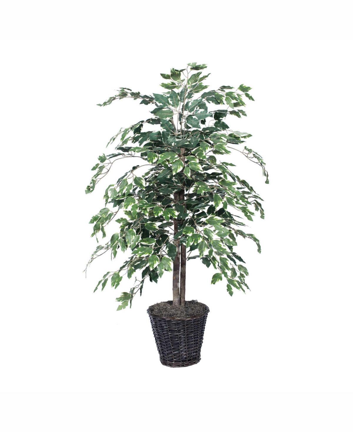 Vickerman 4' Artificial Variegated Ficus Bush, Made With Real Tag Alder Trunks In No Color