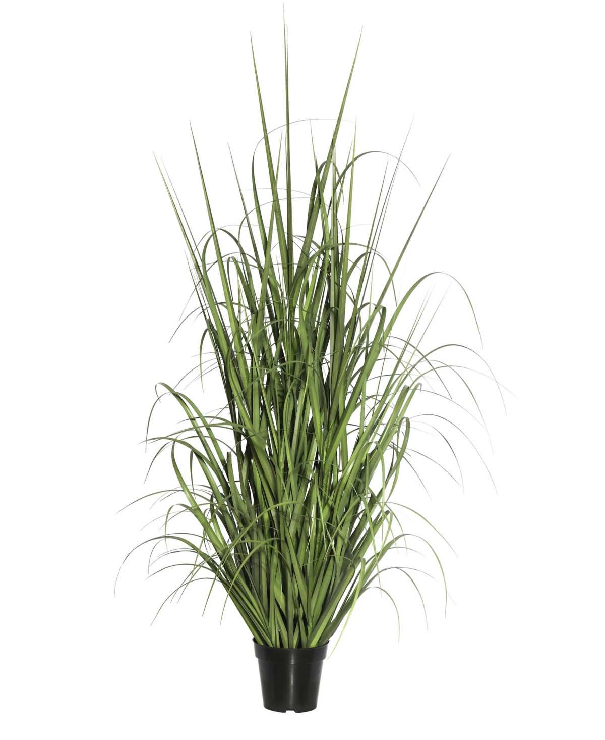 Vickerman 60" Artificial Green Potted Ryegrass In No Color