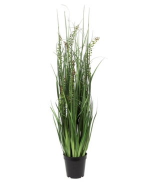 Vickerman 36