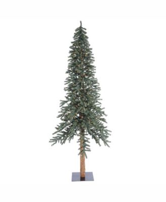 Vickerman