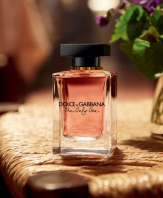 dolce and gabbana the one priceline