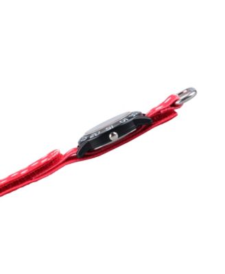 ewatchfactory Disney Minnie Mouse, Elsa and Goofy Girls' Black Plastic Time Teacher Watch