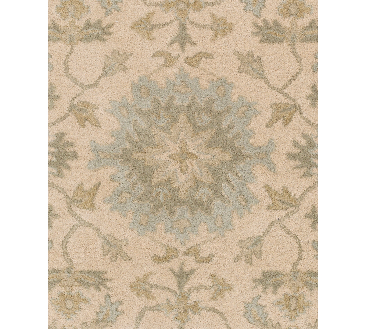 Livabliss Caesar Cae-1161Area Rug - Beige
