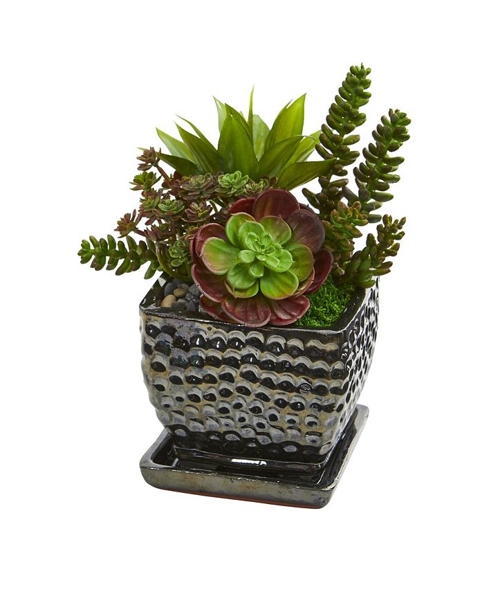 Nearly Natural Succulent Garden Artificial Plant in Black Planter - Macy's