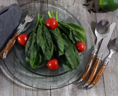 Laguiole 20 Piece Stainless Steel Flatware Set, Service for 4