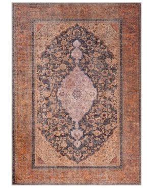 Surya Amelie Aml-2300 Clay 2' x 3' Area Rug