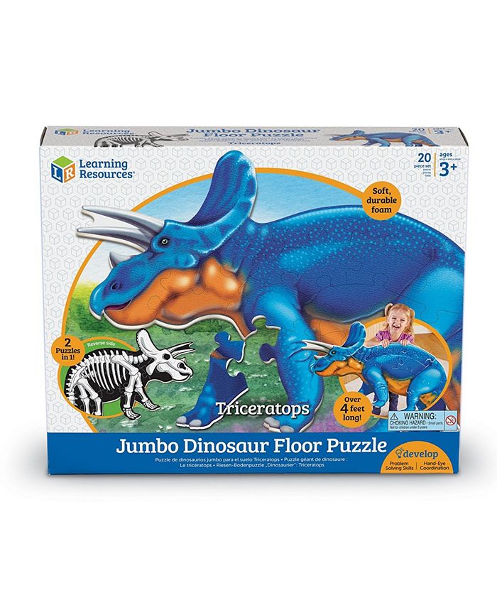Productos Dinosaurios - Equipamientos