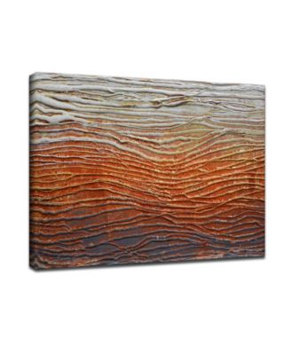 'Broil' Anstract Canvas Wall Art, 30x40"