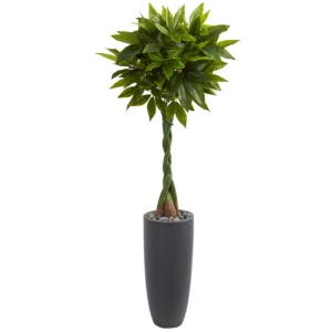 Nearly Natural 6' Money Artificial Tree In Gray Cylinder Planter In Green