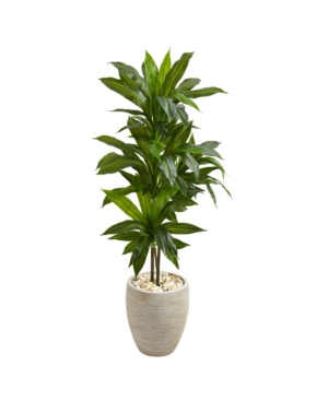 NEARLY NATURAL 4' DRACAENA ARTIFICIAL PLANT IN SAND COLORED PLANTER 