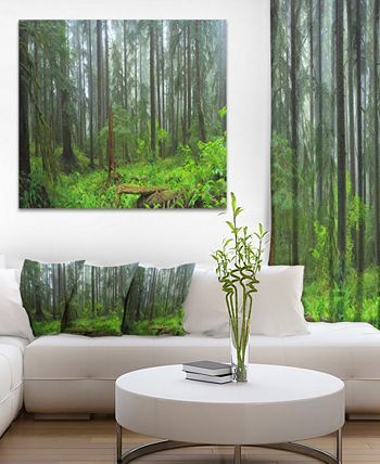 Design Art Designart Hoh Rain Forest Landscape Photography Canvas Art ...