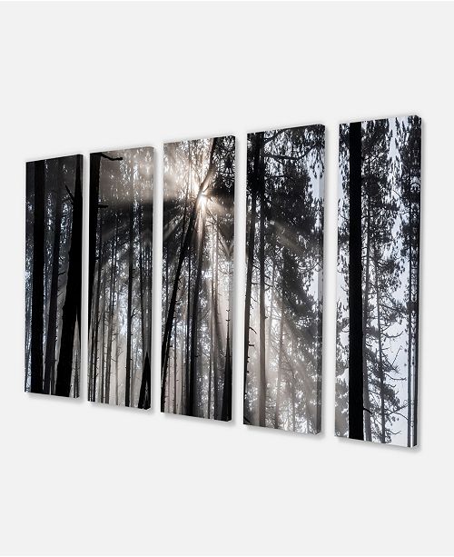 Design Art Designart Sunbeams Through Black White Forest Forest