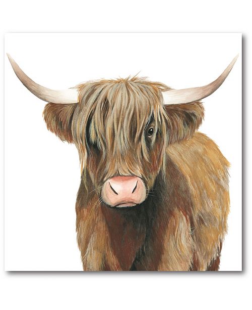 Courtside Market Highland Cattle Ii Gallery Wrapped Canvas Wall