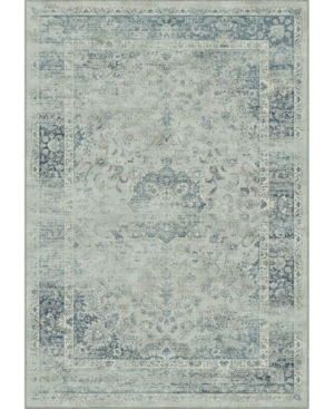 Safavieh Vintage Light Blue 5'3