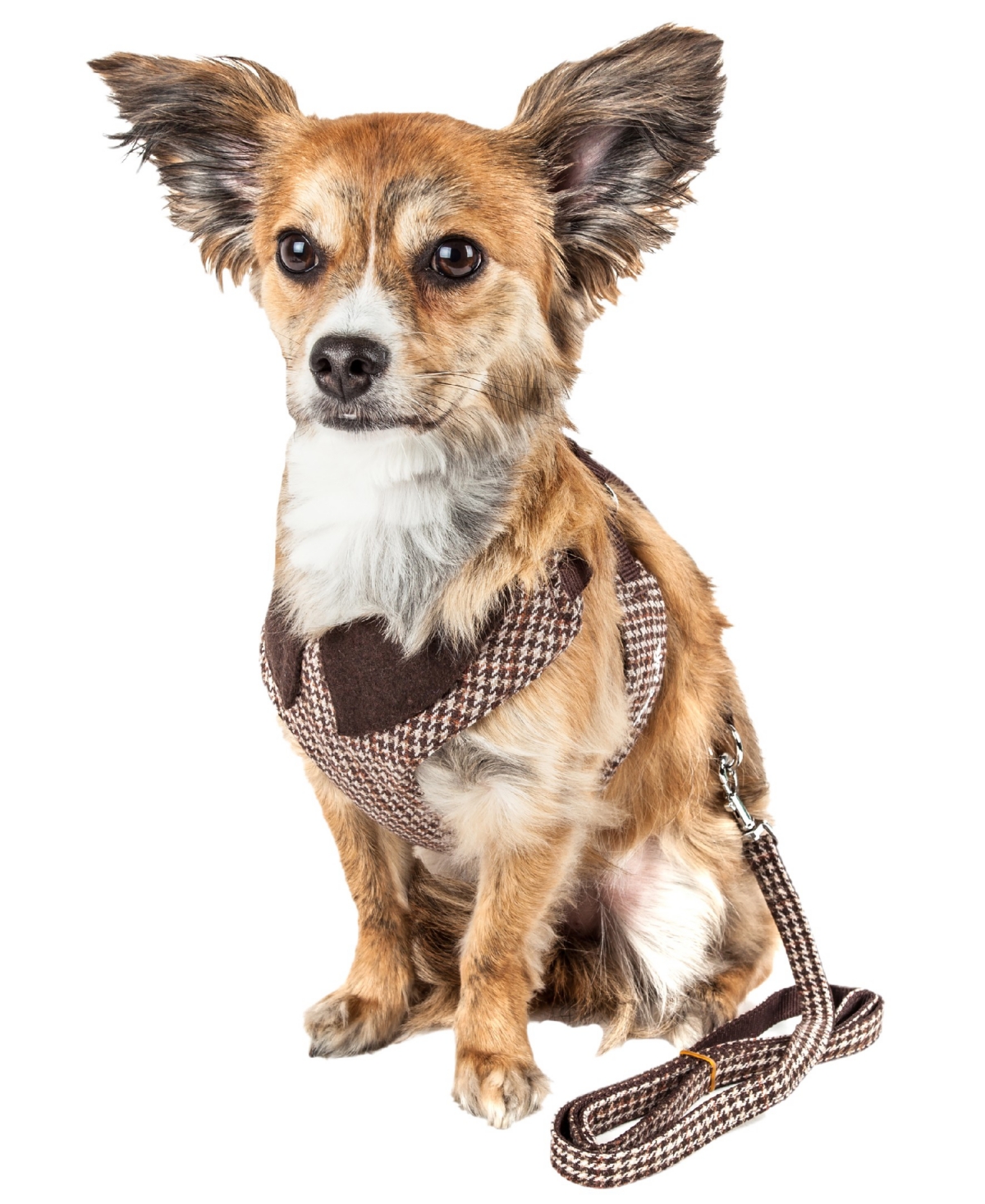 Luxe 'Houndsome' 2-in-1 Reversible Adjustable Dog Harness Leash - Brown
