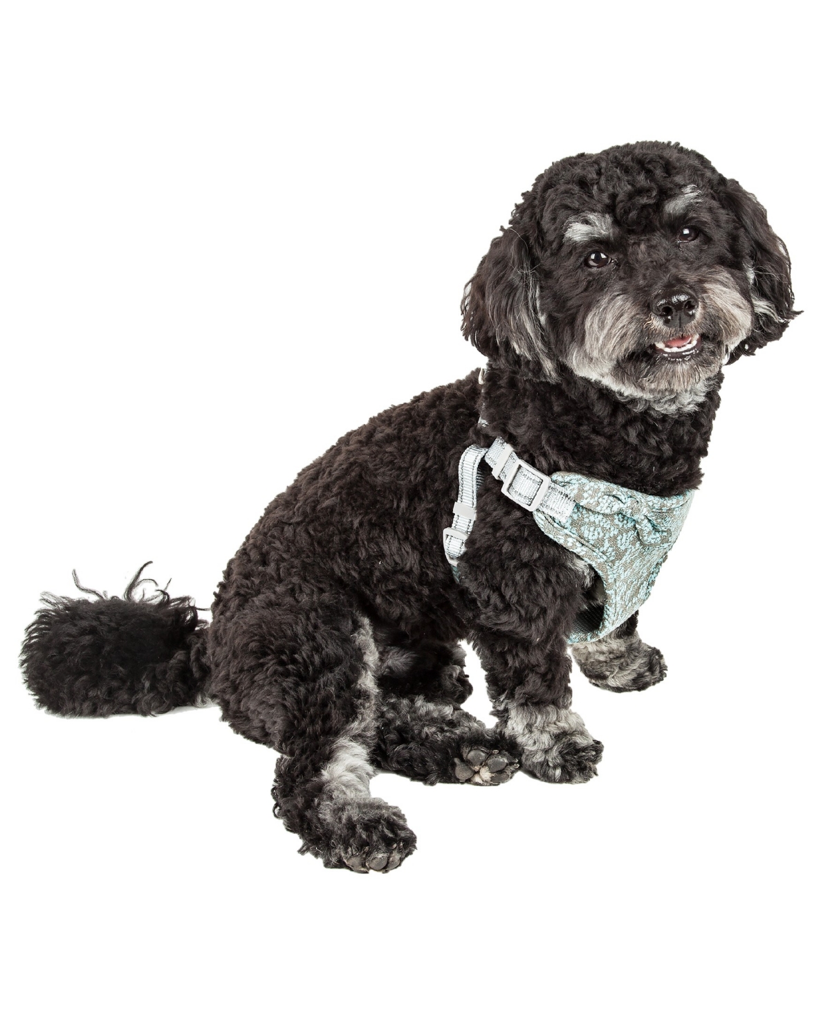 'Fidomite' Reversible and Adjustable Dog Harness with Bowtie - Blue