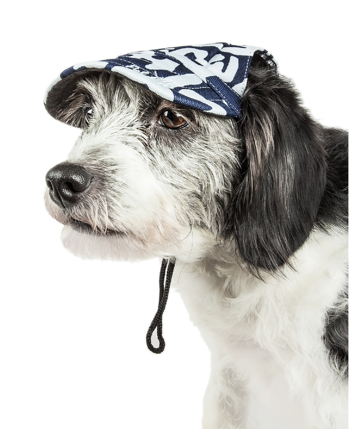'Bone Cappa' Graffiti Sculptured Uv Protectant Adjustable Dog Hat Cap - Navy
