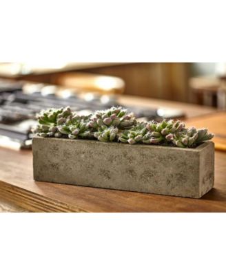 Nearly Natural Succulent Garden w/Textured Concrete Planter