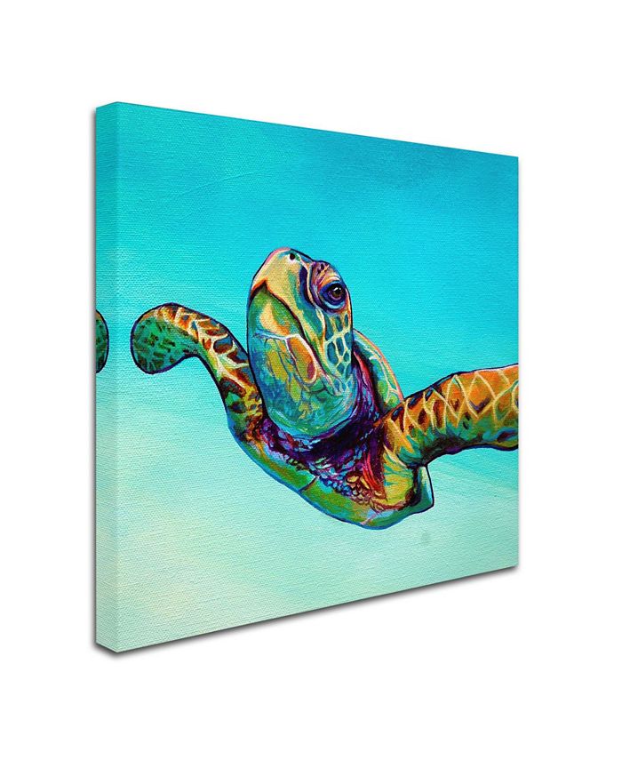 Trademark Global Corina St. Martin 'Green Sea Turtle' Canvas Art - 35 ...