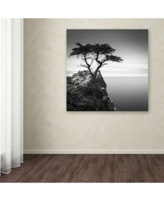 Trademark Global Dave MacVicar 'The Lone Cypress' Canvas Art - 18" x 18" x 2"