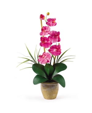 NEARLY NATURAL PHALAENOPSIS SILK ORCHID FLOWER ARRANGEMENT