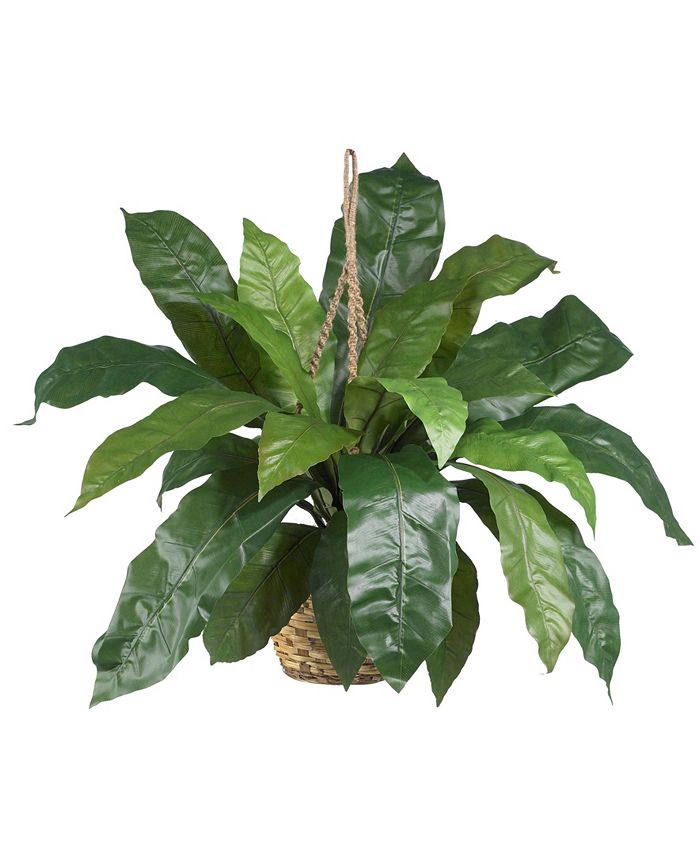 Nearly Natural Large Birds Nest Fern Hanging Basket Macy's