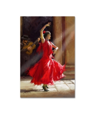 Trademark Global The Macneil Studio 'flamenco' Canvas Art In Multi