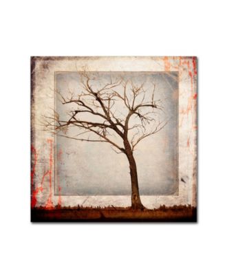 lightbox Journal 'Cottonwood Tree Part 05' Canvas Art - 24" x 24" x 2 ...