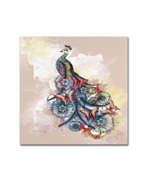 Trademark Global The Tangled Peacock 'butterfly Peacock' Canvas Art In Multi