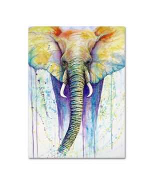 Trademark Global Michelle Faber 'elephant Colors' Canvas Art In Multi