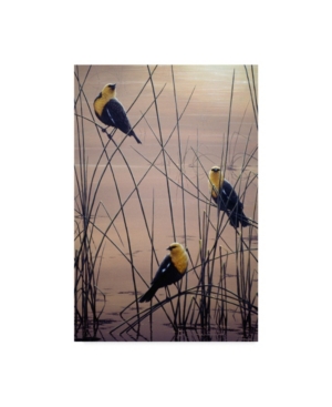 Trademark Global Jeff Tift 'yellow Headed B Birds' Canvas Art In Multi